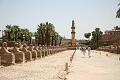 Row of sphinxes that once stretched from Luxor temple to Karnak temple
